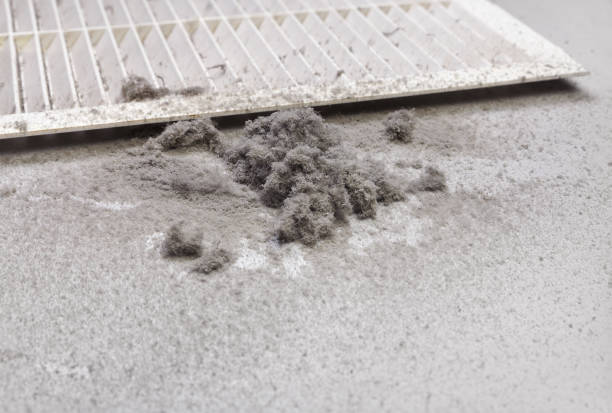 Best Commercial Air Duct Cleaning  in Mount Vista, WA